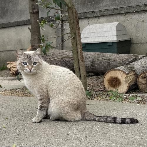 Photo principale de ONDAYA