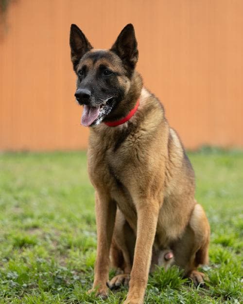 Photo principale de ROC