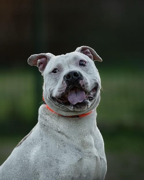 Photo principale de KAYON