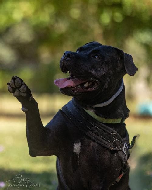 Photo principale de NALA