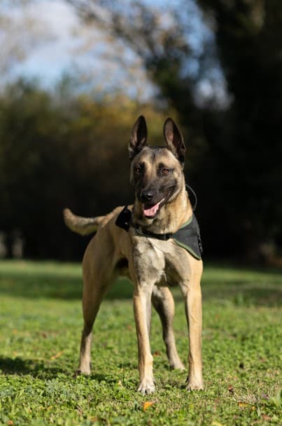 Photo principale de KIT