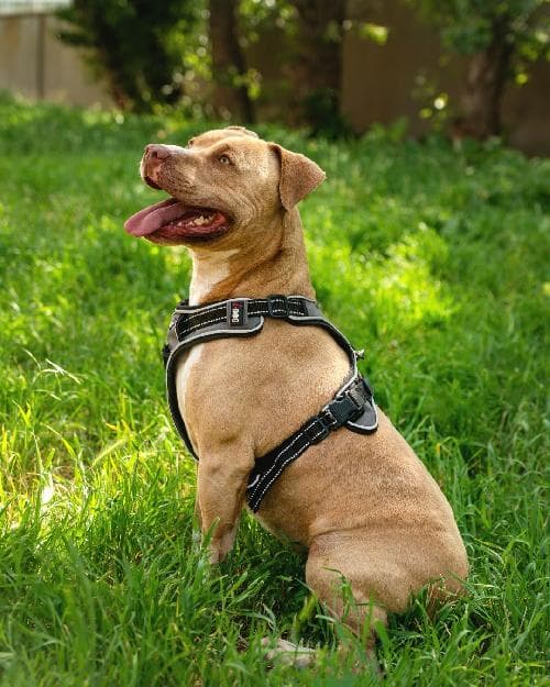 Photo principale de KYLLIAN