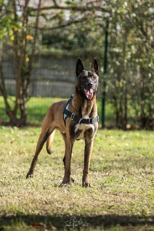 Photo principale de BUMP