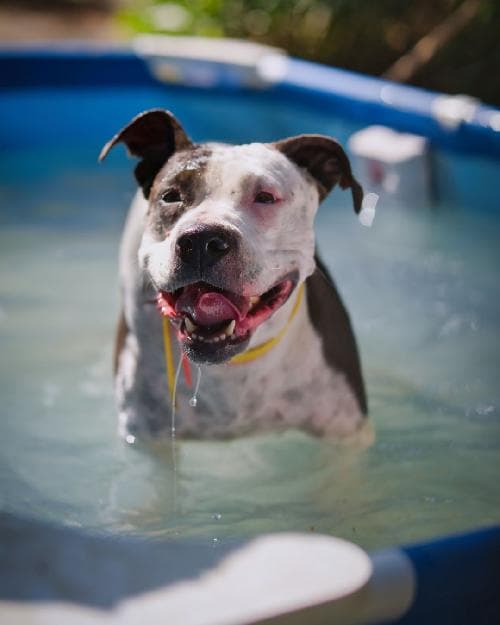 Photo principale de MILKA