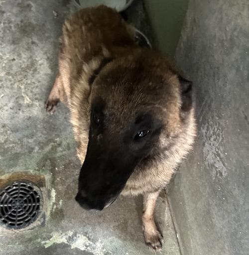 Photo principale de URTYS