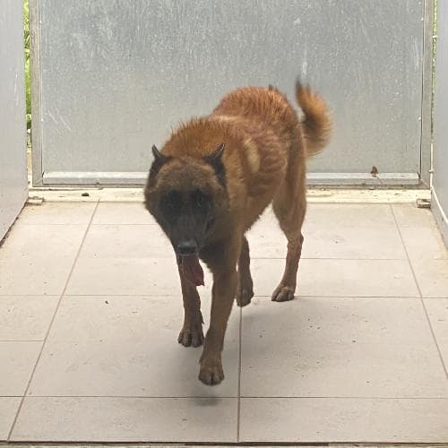 Photo principale de URTOS