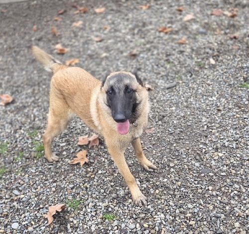 Photo principale de ABU