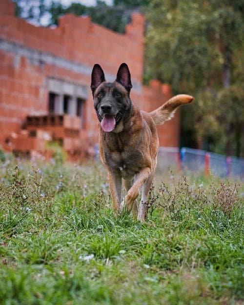 Photo principale de NERO