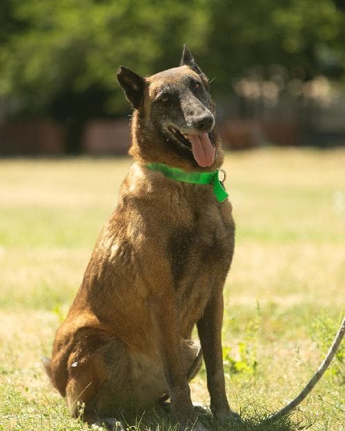 Photo principale de NAIKA