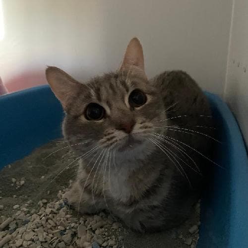 Photo principale de ALADDIN