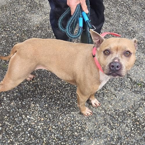 Photo principale de NALA