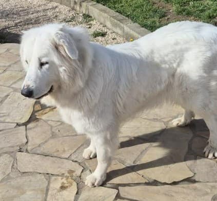 Photo principale de TALLIA