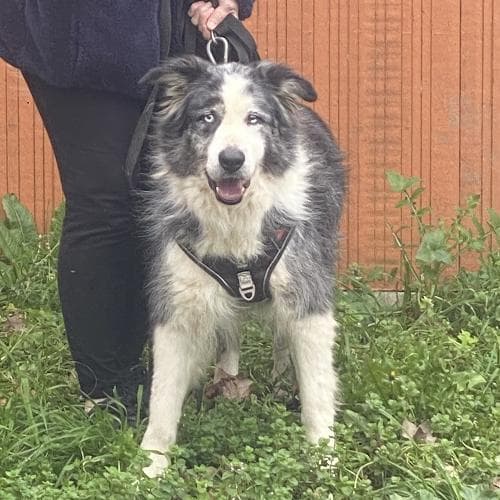 Photo principale de JACOB