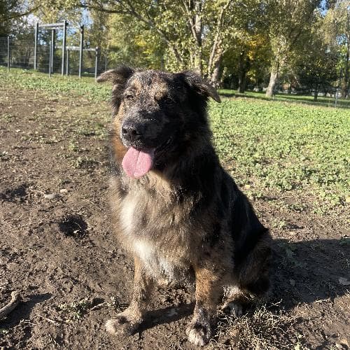 Photo principale de UTAKA