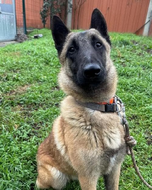 Photo principale de ABU