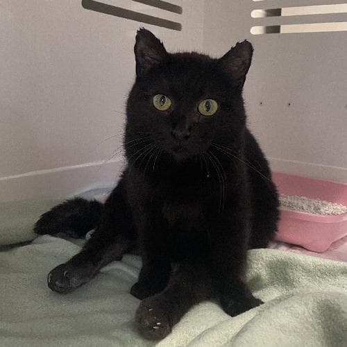 Photo principale de BIGGY