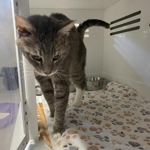 Photo principale de CRUMBLE