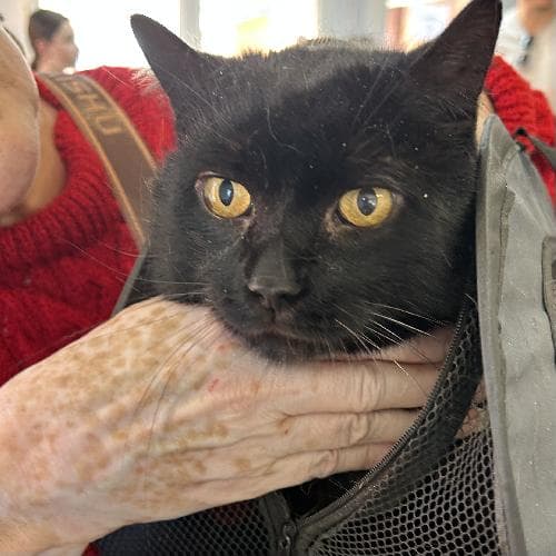 Photo principale de KIMY