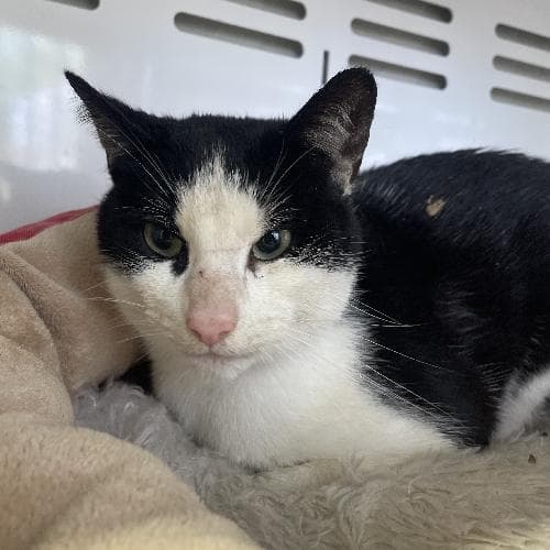 Photo principale de REGIS