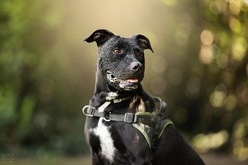Main photo of PIXXY
