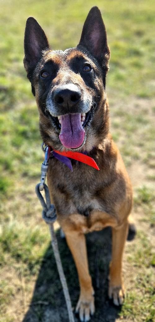 LOKI