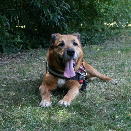 Photo principale de TITOU