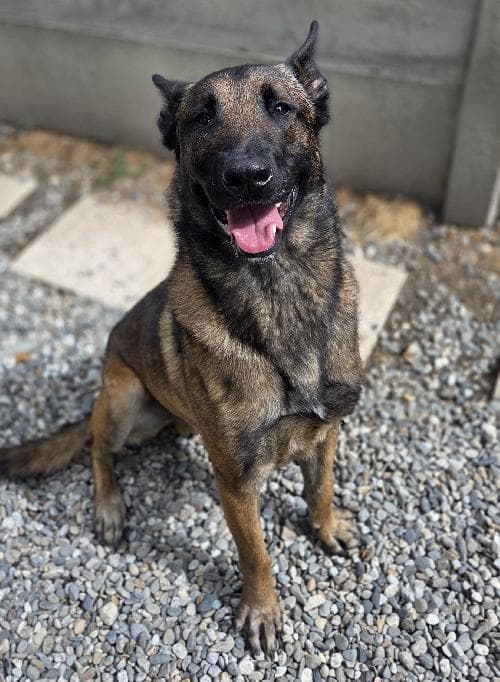 KOBA