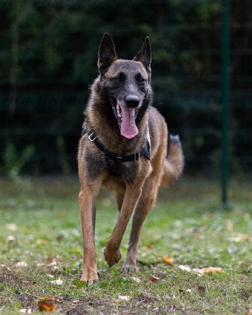 Photo principale de ELLA