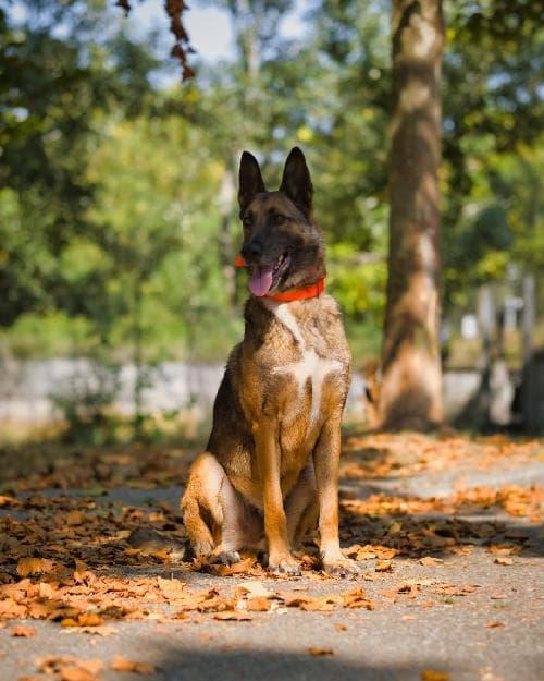 Photo principale de CRUMP/TRUMP