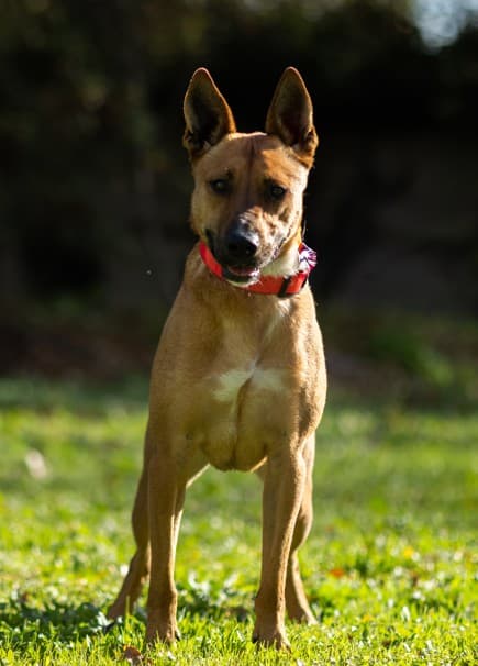 Photo principale de BILBAO