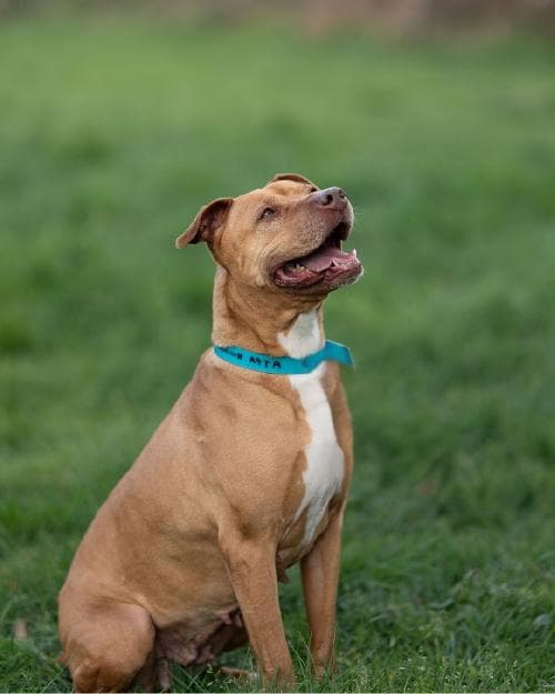 Photo principale de NALA