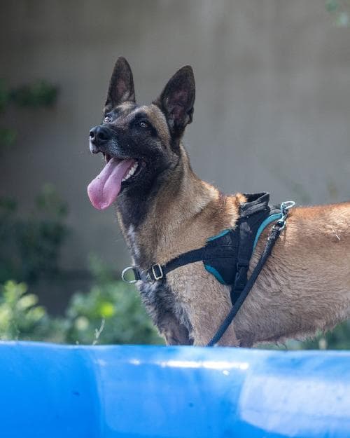 Photo principale de NINA