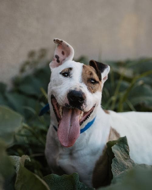 Photo principale de CRUNCH