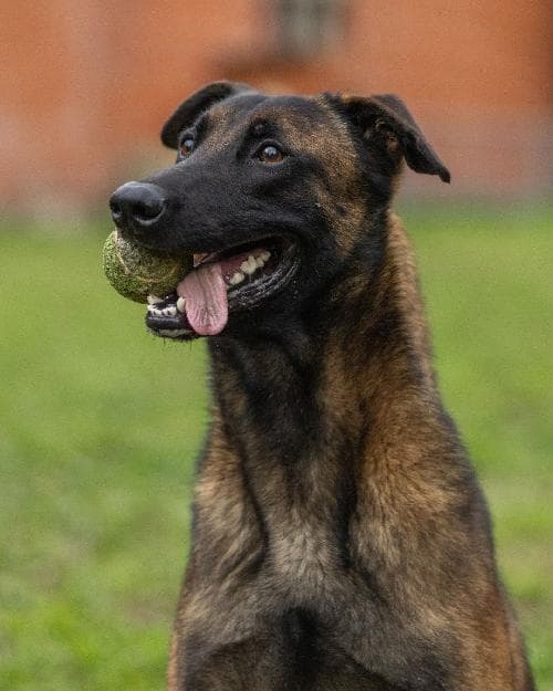 Photo principale de CREED