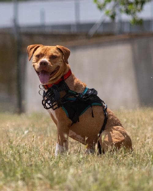 Photo principale de YUYO