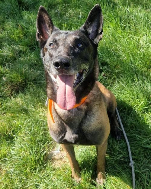 Photo principale de SHERE KAN