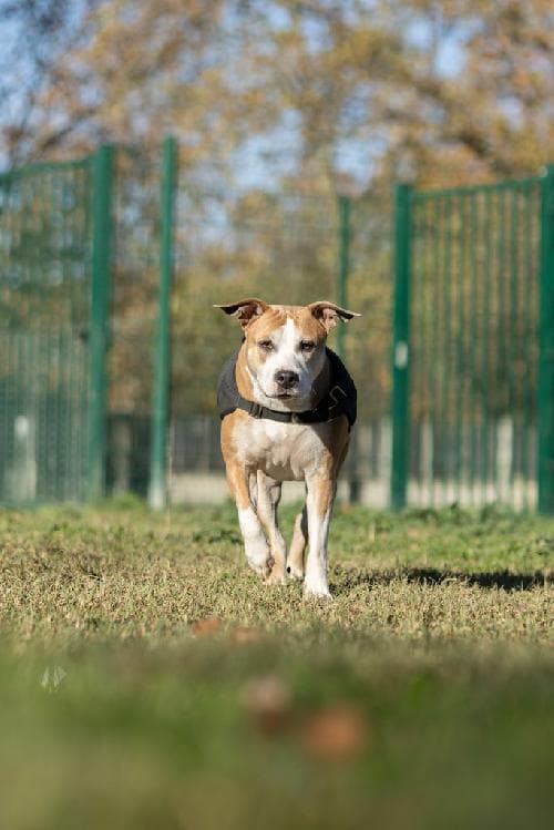 Photo principale de OLIGANE