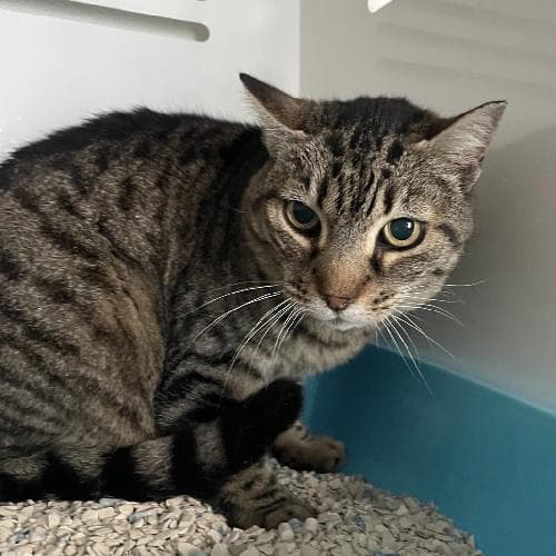 Photo principale de FUTé