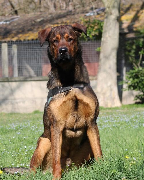 Photo principale de KEKO