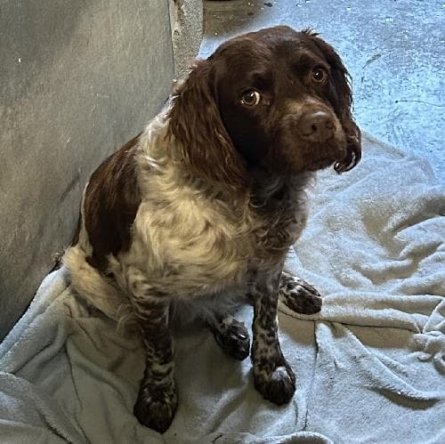 Photo principale de BAO / TAZ